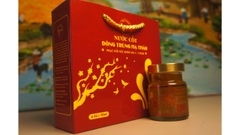 Nước cốt đông trùng hạ thảo có bổ sung yến set 6  hũ