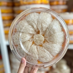 Yến Tinh - 10 Tổ (100g)