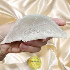 Yến Tinh - Nguyên Sợi VIP Loại 1 (100g)