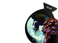 Mantis Aquarium Magnifier – Kính Lúp Quan Sát San Hô Cao Cấp 4