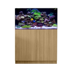 BỂ CÁ BIỂN 90CM – Thiết Kế Tinh Tế, Chất Lượng Cao