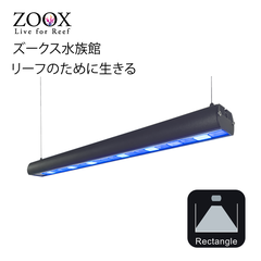 LEDBAR ZOOX ACTINIC SHINNER - BẢN CHIẾU TỎA