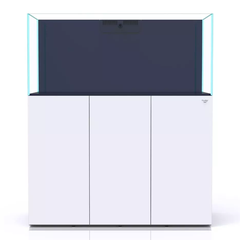 Bể Cá Biển 120cm – Giải Pháp Tối Ưu Cho Không Gian Sinh Động