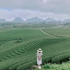Tour du lịch Miền Tây Nghệ An 2 ngày 1 đêm
