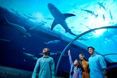 Tour Singapore Malaysia 5 ngày 4 đêm từ TP Hồ Chí Minh/Hà Nội/Đà Nẵng