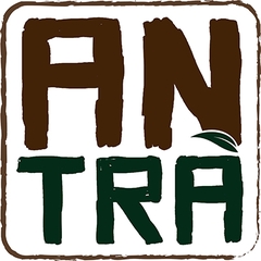 AN TRÀ DZI