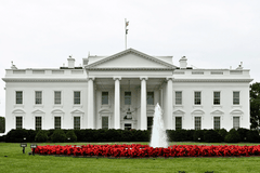 Khám phá mùa hoa Anh Đào tại Hoa Kỳ