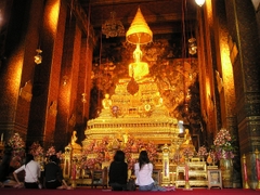 Thái Lan – Bangkok – Pattaya – Safari World: Hòa Quyện Giữa Sự Sôi Động Đô Thị Và Thiên Nhiên Hoang Dã