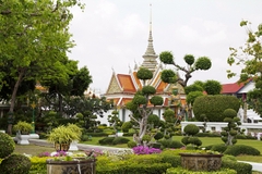 Thái Lan – Bangkok – Pattaya – Safari World: Hòa Quyện Giữa Sự Sôi Động Đô Thị Và Thiên Nhiên Hoang Dã