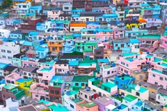 Cuộc phiêu lưu Trải Nghiệm Hương vị Hàn Quốc Dài 8 Ngày