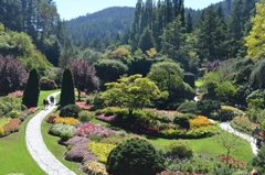 Canada & Mỹ: Từ Seatle đến Vancouver