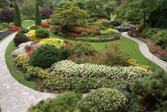Canada & Mỹ: Từ Seatle đến Vancouver
