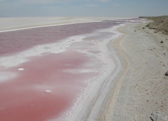 Hành Trình 8 Ngày: Chinh Phục Sahara và Khám Phá Ốc Đảo Tozeur Huyền Bí – Tunisia