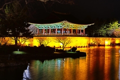 Khám Phá Hàn Quốc: Chuyến Du Lịch 9 Ngày từ Seoul đến Jeju