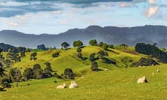 Tham quan Waitomo - Taupo - Rotorua - Matamata
