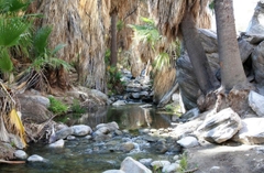 Sa Mạc California & Nghỉ Dưỡng Tại Palm Springs – Hành Trình 7 Ngày Quyến Rũ