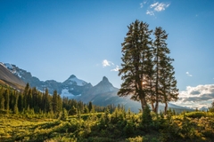 Khám phá Vùng Canadian Rockies Hùng Vĩ