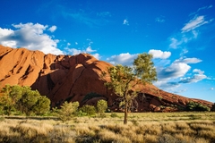 Khám Phá Uluru Và Kings Canyon Kỳ Quan Nước Úc