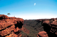 Khám Phá Miền Đỏ Nước Úc – Hành Trình 7 Ngày Qua Kings Canyon & Uluru Huyền Thoại