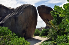 Hành Trình Seychelles: Đắm Chìm Trong Vẻ Đẹp Tự Nhiên Thuần Khiết & Sang Trọng