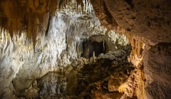 Khám phá Auckland - Waitomo - Taupo - Rotorua
