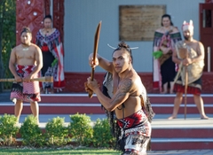 New Zealand: Khám Phá Xứ Sở Thần Tiên – Hành Trình Đa Dạng Kỳ Vĩ