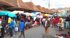 Madagascar: Khám Phá Thiên Đường Độc Đáo – Hành Trình Về Miền Hoang Dã