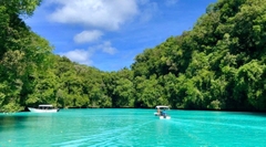 Palau: Khám Phá Thiên Đường Đại Dương — Trải Nghiệm Lặn Biển Có Một Không Hai