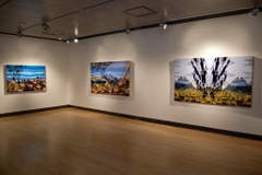 Tour 5 ngày tham quan Yellowstone và Grand Teton