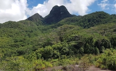 Hành Trình Seychelles: Viên Ngọc Ấn Độ Dương – Đắm Chìm Trong Vẻ Đẹp Hoang Sơ & Sang Trọng