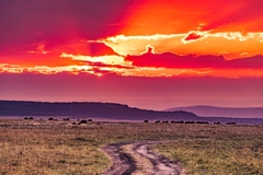 Ngắm Động Vật Hoang Dã Tuyệt Nhất Châu Phi – Kenya Safari