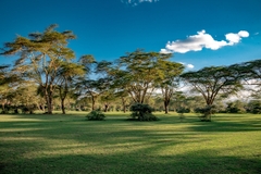 Ngắm Động Vật Hoang Dã Tuyệt Nhất Châu Phi – Kenya Safari