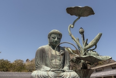 Nhật Bản và những chú nai vùng Nara