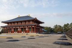 Nhật Bản và những chú nai vùng Nara