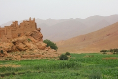 7 Ngày Phiêu Lưu Bất Tận Tại Cồn Cát Merzouga và Sa Mạc Sahara Vĩ Đại