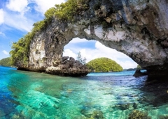 Palau: Khám Phá Thiên Đường Đại Dương — Trải Nghiệm Lặn Biển Có Một Không Hai