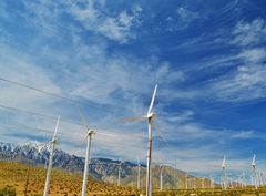 Sa Mạc California & Nghỉ Dưỡng Tại Palm Springs – Hành Trình 7 Ngày Quyến Rũ