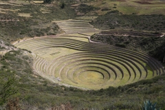 Khám Phá Peru Huyền Bí – Hành Trình 10 Ngày Qua Ốc Đảo Huacachina, Nazca, Cusco, Machu Picchu, Lima & Paracas