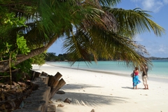 Hành Trình Seychelles: Đắm Chìm Trong Vẻ Đẹp Tự Nhiên Thuần Khiết & Sang Trọng