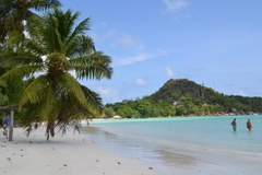 Hành Trình Seychelles: Đắm Chìm Trong Vẻ Đẹp Tự Nhiên Thuần Khiết & Sang Trọng