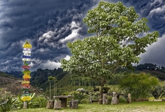 Trải nghiệm vẻ đẹp và sự sống động của Colombia