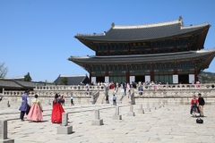 Khám Phá Hàn Quốc: Chuyến Du Lịch 9 Ngày từ Seoul đến Jeju