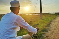 Sri Lanka Hành Trình 15 Ngày Từ Vùng Núi Cao đến Colombo