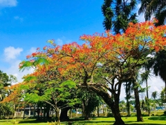 Fiji: Khám Phá Thiên Đường Đảo Nam Thái Bình Dương – Trải Nghiệm Có Một Không Hai
