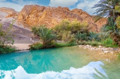 7 Ngày Đắm Chìm Trong Nét Đẹp Tozeur và Sức Hút Hoang Dã Của Sahara