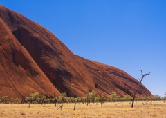Khám Phá Miền Đỏ Nước Úc – Hành Trình 7 Ngày Qua Kings Canyon & Uluru Huyền Thoại