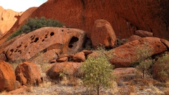 Khám Phá Miền Đỏ Nước Úc – Hành Trình 7 Ngày Qua Kings Canyon & Uluru Huyền Thoại