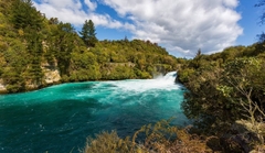Khám phá Auckland - Waitomo - Taupo - Rotorua