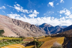 Valle de Elqui & Vẻ Đẹp Miền Bắc Chile – Hành Trình 7 Ngày Quyến Rũ