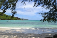 Hành Trình Seychelles: Đắm Chìm Trong Vẻ Đẹp Tự Nhiên Thuần Khiết & Sang Trọng